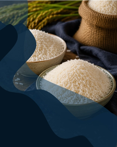 تفاوت برنج هاشمی و طارم