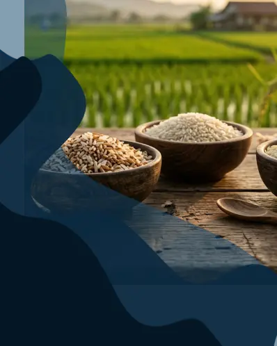 راهنمای خرید ارزان ترین برنج ایرانی